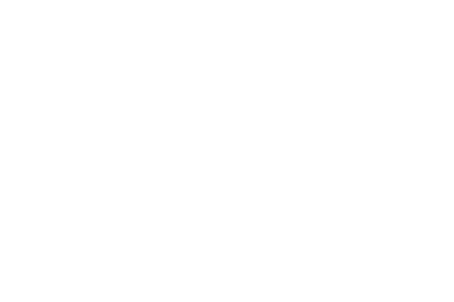 logo paragon corp